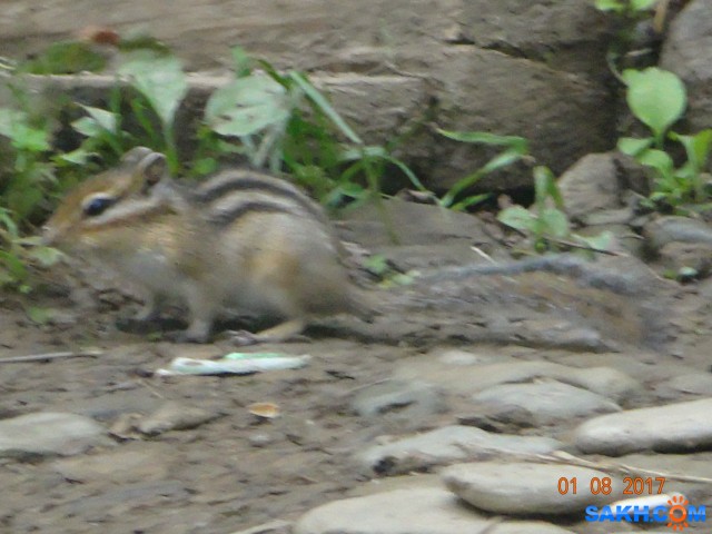 DSC04951