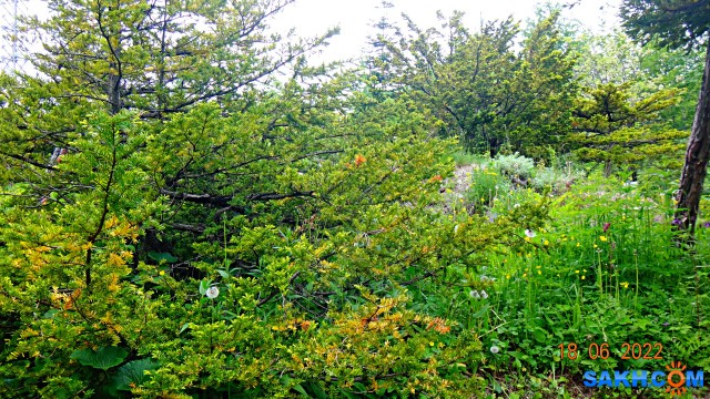 DSC09924

Просмотров: 310
Комментариев: 0