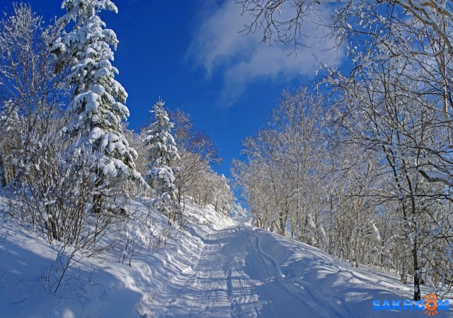 366-1-пан-к

Просмотров: 785
Комментариев: 0
