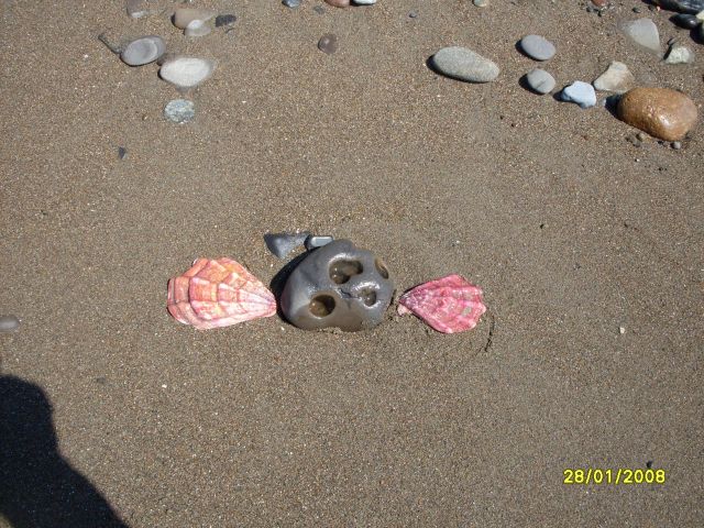 На песке
Фотограф: Maricha

Просмотров: 9136
Комментариев: 0