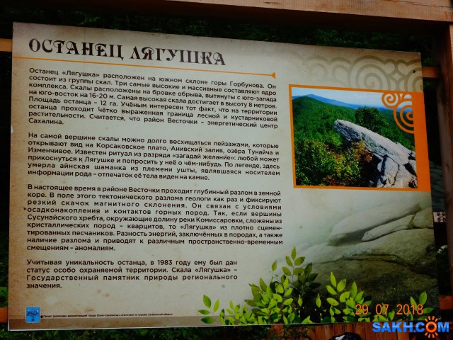 DSC06336