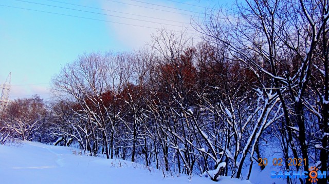 DSC00089

Просмотров: 757
Комментариев: 0
