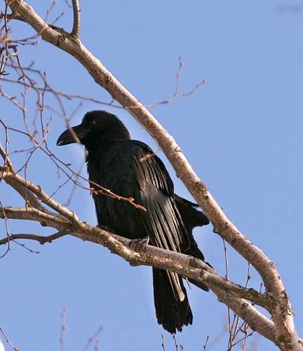 DSC06723
Фотограф: Сергей Буркацкий

Просмотров: 770
Комментариев: 0