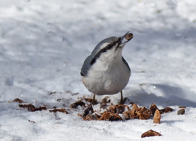 ***
Фотограф: Сергей Буркацкий

Просмотров: 1386
Комментариев: 0
