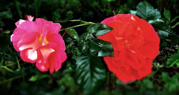 DSC00469
Фотограф: Сергей Буркацкий

Просмотров: 495
Комментариев: 0