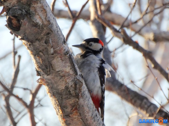 DSC02253

Просмотров: 579
Комментариев: 0