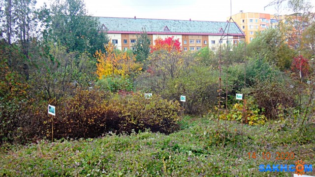 DSC07988

Просмотров: 420
Комментариев: 0