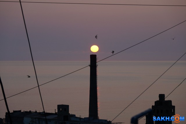 _DSC8623

Просмотров: 464
Комментариев: 0