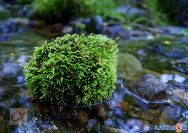 ***
Фотограф: Сергей Буркацкий

Просмотров: 1120
Комментариев: 0