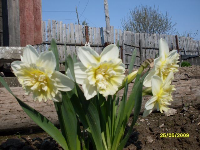 И такие нарциссы...
Фотограф: Maricha

Просмотров: 1405
Комментариев: 1