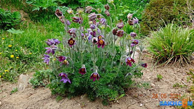 DSC02575

Просмотров: 465
Комментариев: 0