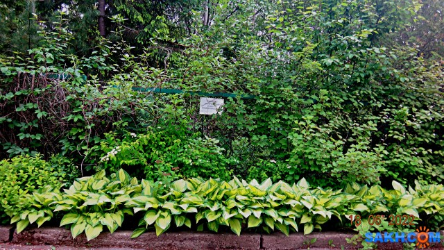 DSC09939

Просмотров: 311
Комментариев: 0