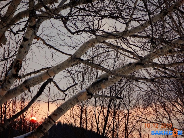 DSC09390

Просмотров: 821
Комментариев: 0