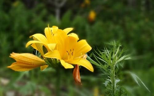 DSC00184
Фотограф: Сергей Буркацкий

Просмотров: 499
Комментариев: 0