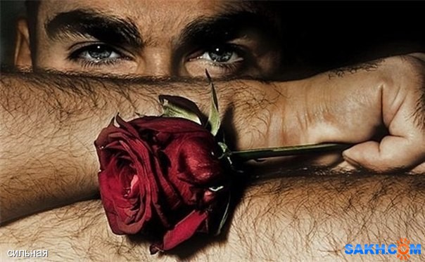 .
Когда люди не сходятся в главном, они расходятся из-за пустяков @ Аминадо Дон.

Просмотров: 561
Комментариев: 0