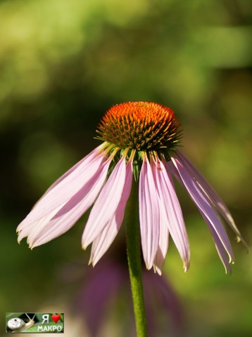 ***
Фотограф: Сергей Буркацкий

Просмотров: 894
Комментариев: 0