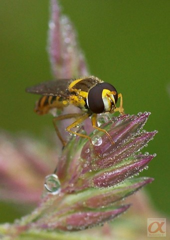 ***

Просмотров: 816
Комментариев: 0