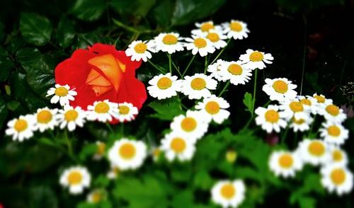 DSC00468
Фотограф: Сергей Буркацкий

Просмотров: 450
Комментариев: 0