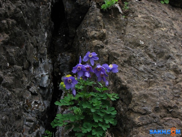 IMG_1294-к

Просмотров: 845
Комментариев: 0