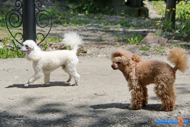 На прогулке

Просмотров: 411
Комментариев: 0