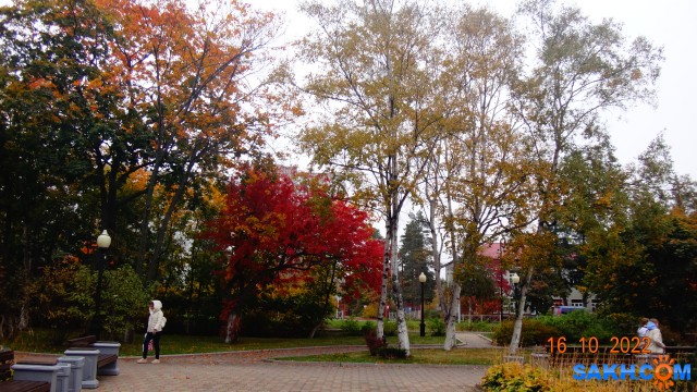 DSC04792

Просмотров: 341
Комментариев: 0