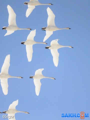 555

Просмотров: 564
Комментариев: 0