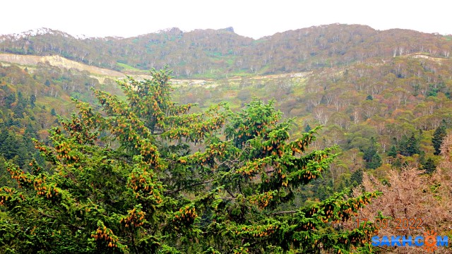 DSC04290