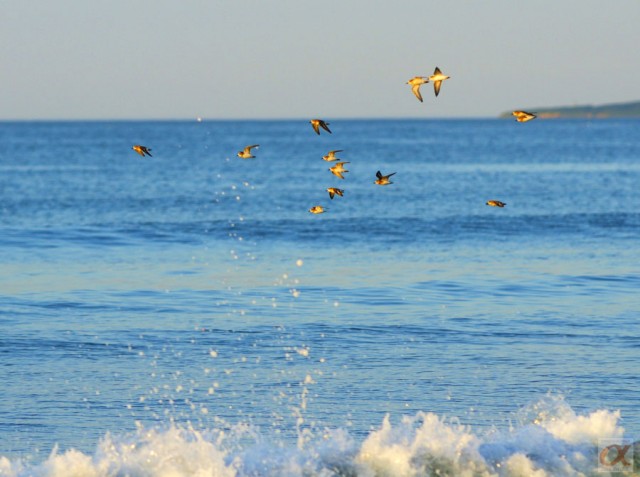 ***
Фотограф: Сергей Буркацкий

Просмотров: 1305
Комментариев: 0