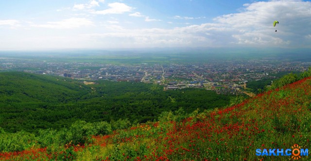 084-1-пан-м

Просмотров: 879
Комментариев: 0