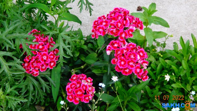 DSC00560

Просмотров: 585
Комментариев: 0