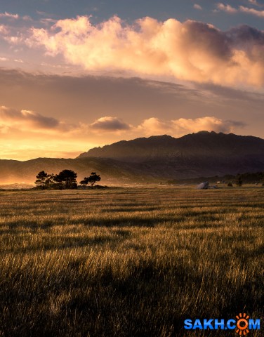 17

Просмотров: 257
Комментариев: 0