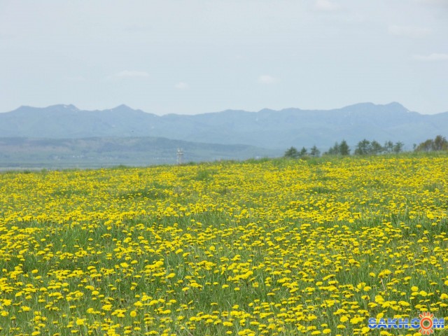 Олимпия 031-1_small

Просмотров: 5626
Комментариев: 0