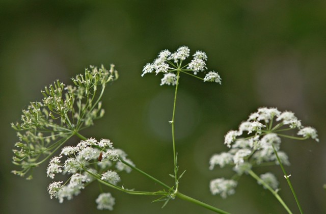 ***
Фотограф: Сергей Буркацкий

Просмотров: 936
Комментариев: 0