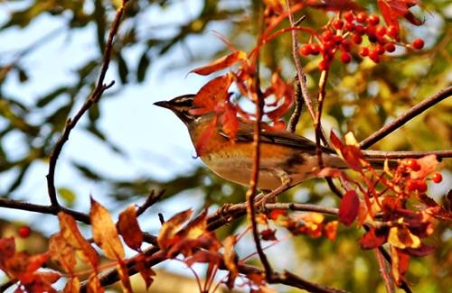 DSC03392
Фотограф: Сергей Буркацкий

Просмотров: 413
Комментариев: 0