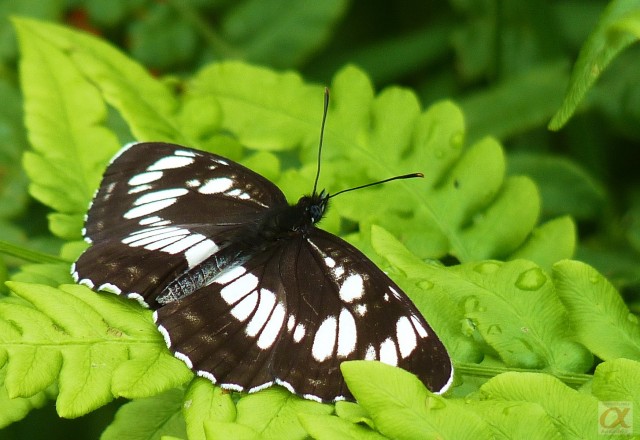 ***
Фотограф: Сергей Буркацкий

Просмотров: 967
Комментариев: 2