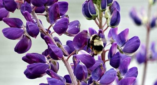 DSC00413
Фотограф: Сергей Буркацкий

Просмотров: 759
Комментариев: 0