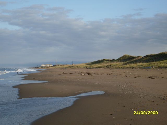 Красногорск.Берег моря
Фотограф: Maricha

Просмотров: 9287
Комментариев: 0