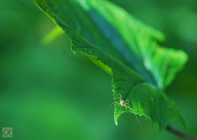 ***
Фотограф: Сергей Буркацкий

Просмотров: 702
Комментариев: 0