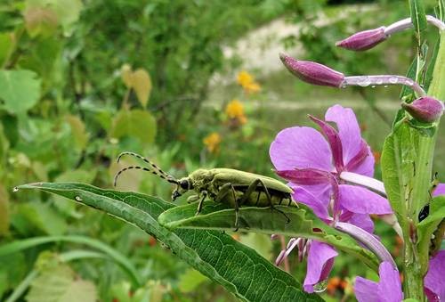 DSC00211
Фотограф: Сергей Буркацкий

Просмотров: 423
Комментариев: 0
