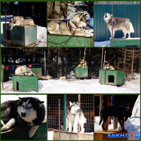 MyCollages-1

Просмотров: 244
Комментариев: 0