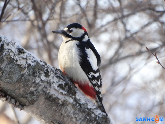 DSC05919_н

Просмотров: 680
Комментариев: 3