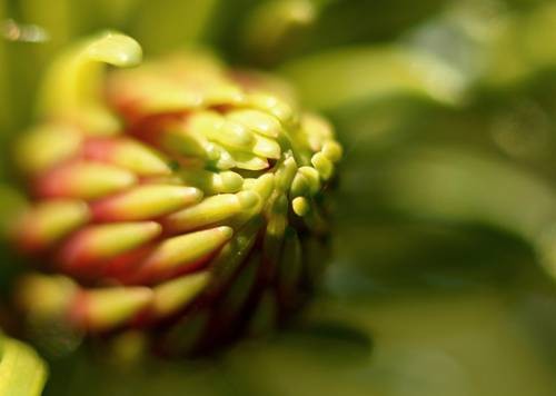 DSC05307
Фотограф: Сергей Буркацкий

Просмотров: 471
Комментариев: 0