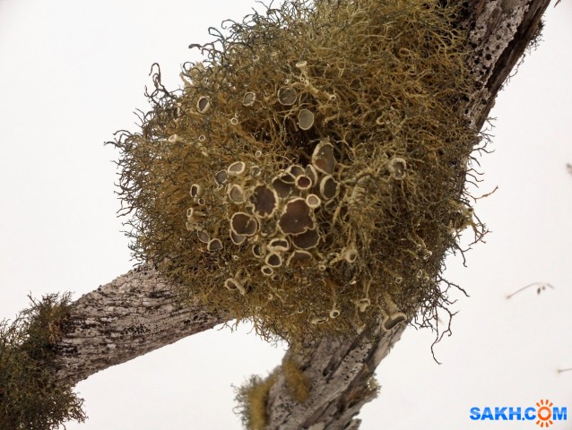 SAM_7154_DxO

Просмотров: 442
Комментариев: 0