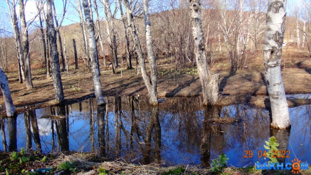 DSC08847

Просмотров: 358
Комментариев: 0