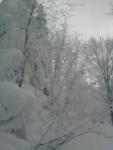 Фото0507
Фотограф: kasper47

Просмотров: 748
Комментариев: 0