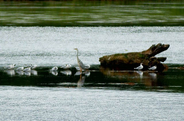 ***
Фотограф: Сергей Буркацкий

Просмотров: 1324
Комментариев: 0
