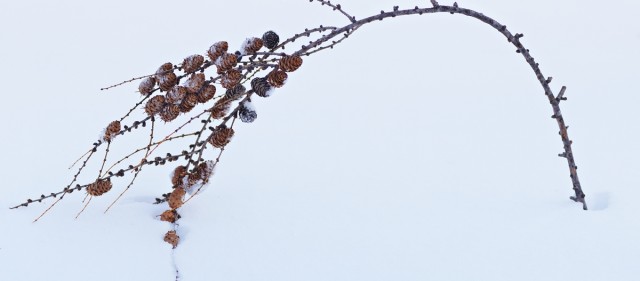 ***
Фотограф: Сергей Буркацкий

Просмотров: 1174
Комментариев: 0