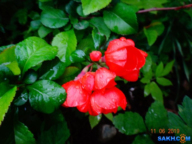 DSC08621

Просмотров: 619
Комментариев: 0