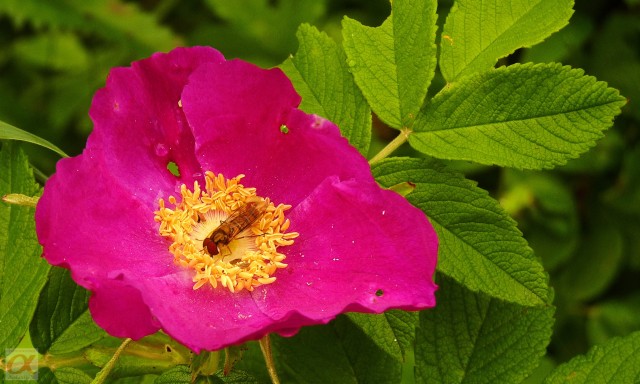 ***
Фотограф: Сергей Буркацкий

Просмотров: 808
Комментариев: 0