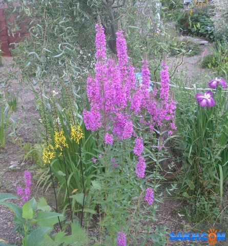 Foto

Просмотров: 405
Комментариев: 0
